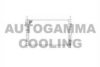 AUTOGAMMA 103100 Radiator, engine cooling